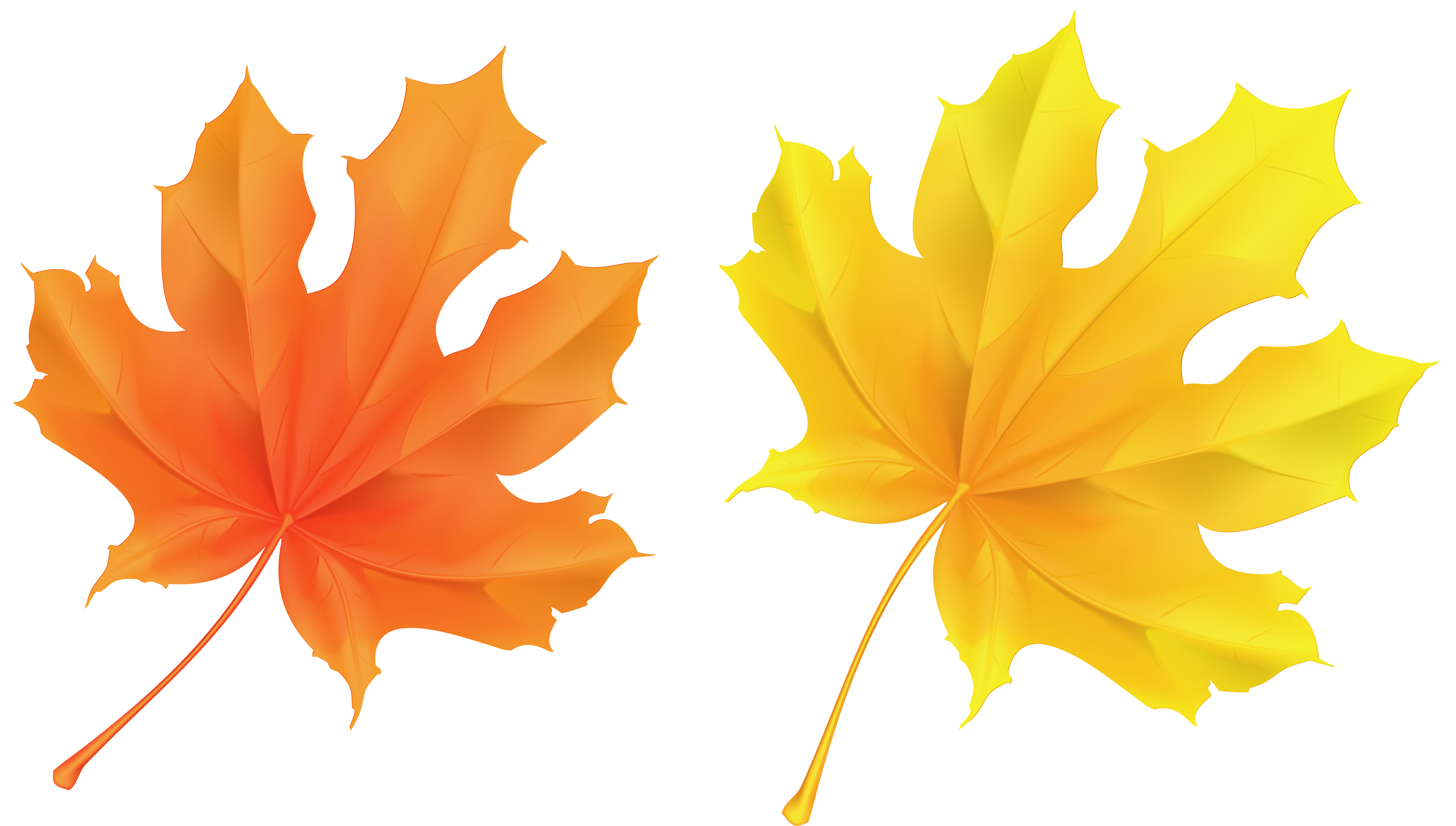 5946x3374 Leaves Clipart Transparent