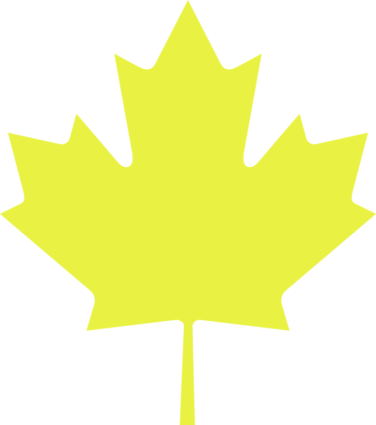 528x596 Maple Leaf Clipart Yellow