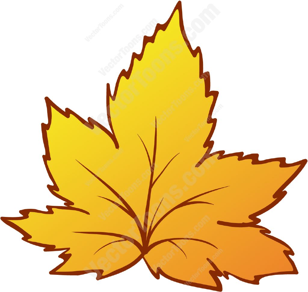 1024x969 Yellow Autumn Leaf Fall Leaves And Cartoon Images