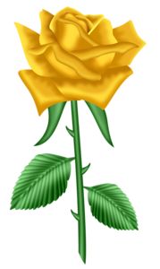179x300 Red Clipart Yellow Rose