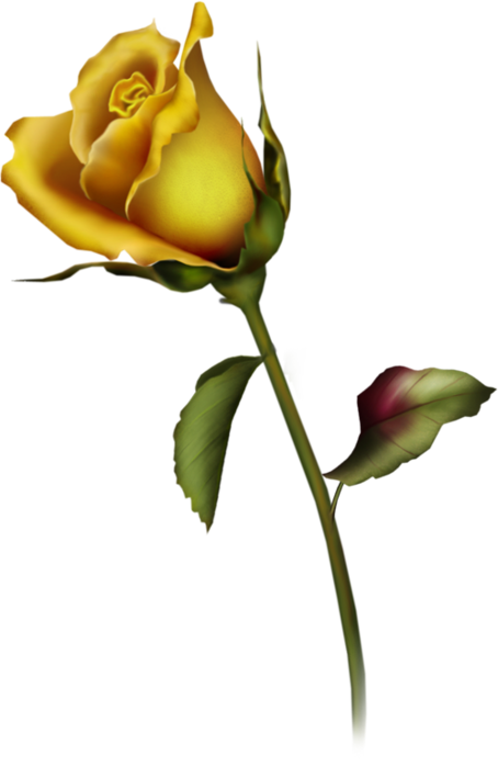 454x699 Yellow Rose Bud Art Clipartu200b Gallery Yopriceville
