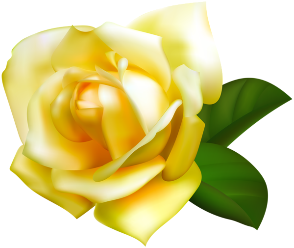 600x505 Yellow Rose Transparent Png Imageu200b Gallery Yopriceville
