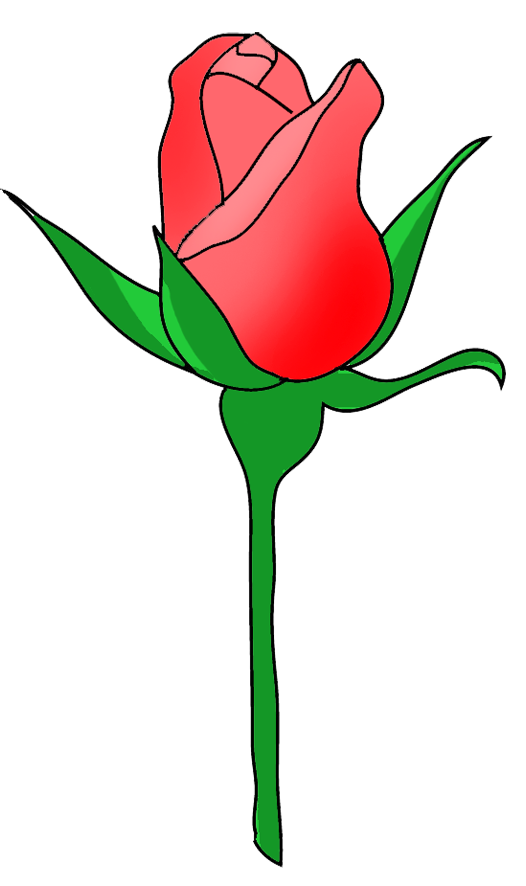 526x886 Yellow Rose Clipart Bud