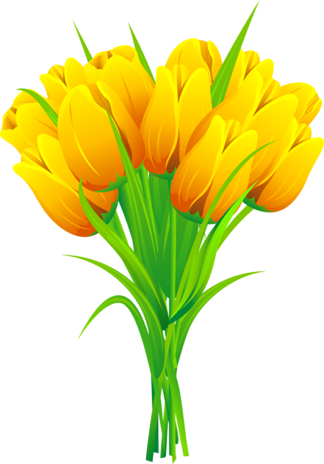 640x918 Pink And Yellow Tulip Clip Art Clipart