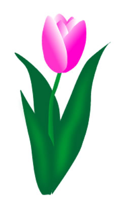 233x400 Spring Clipart Pink Tulip