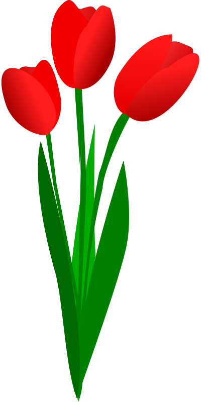 418x800 Tulip Flower Clip Art Free Clipart Images 2