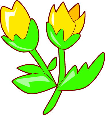 365x400 Yellow Tulip Clipart 2