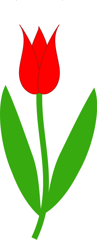 325x800 Free Tulip Clipart