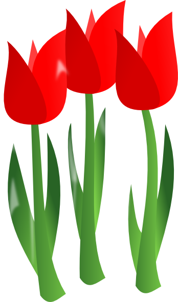 348x592 Red Tulips Clip Art