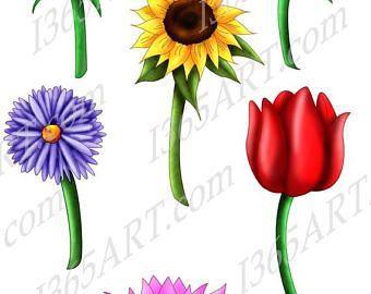 340x270 50% Off Tulip Clipart Tulip Clip Art Tulips Scrapbooking
