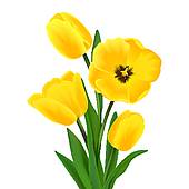 170x170 Top 57 Tulip Clip Art