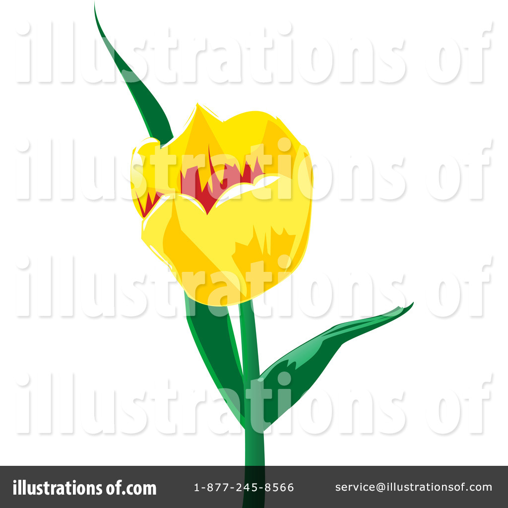 1024x1024 Tulip Clipart