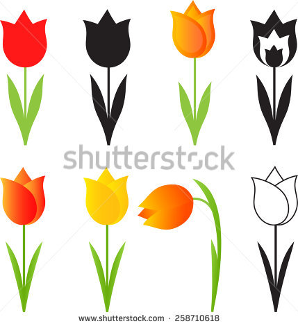 429x470 Wild Tulip Clipart