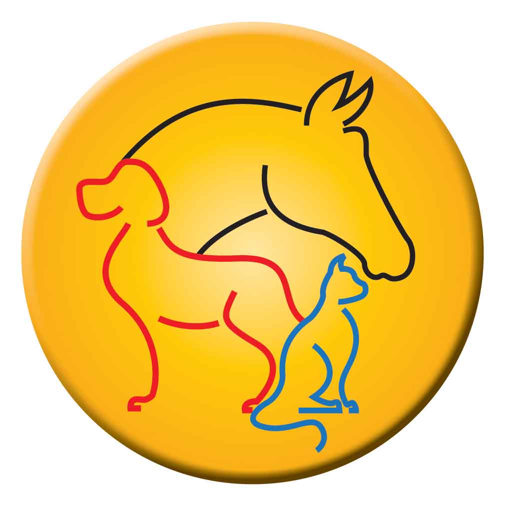 1011x1011 Designing A Logo For A Friend's Business The Canyons Of My Mind