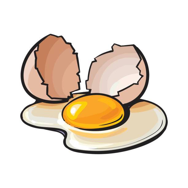 612x612 Egg Clipart Broken Egg