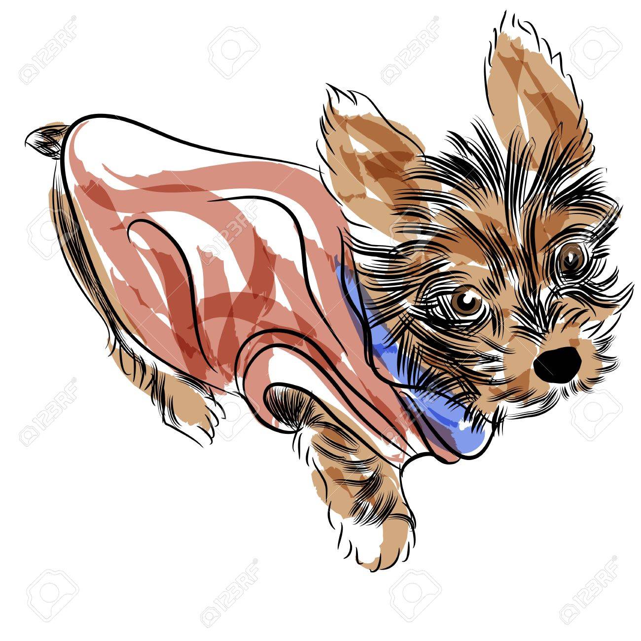 1300x1300 Teacup Yorkie Clip Art Cliparts