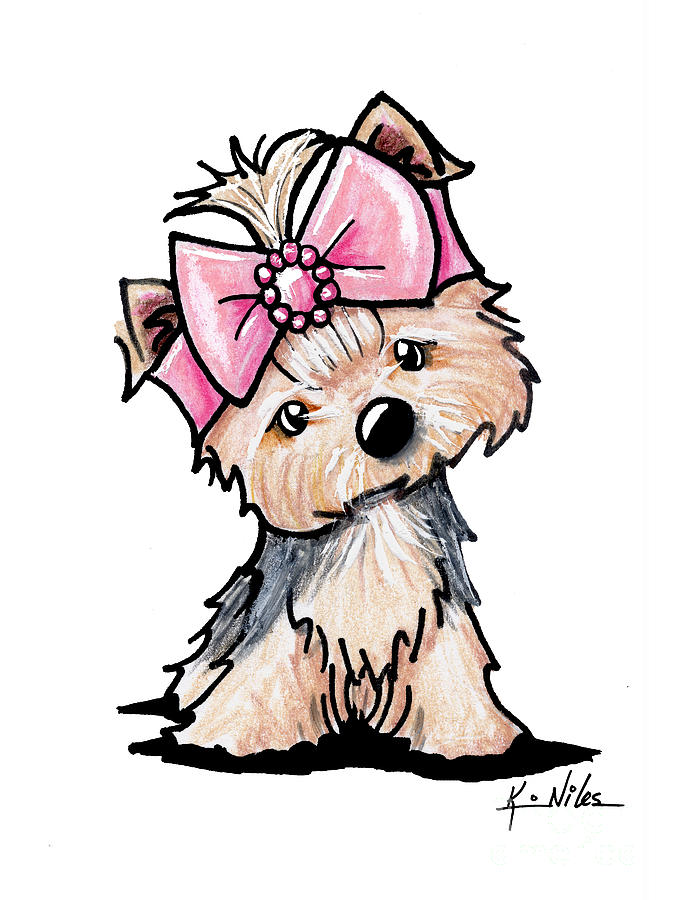 675x900 Yorkshire Terrier Drawings Fine Art America