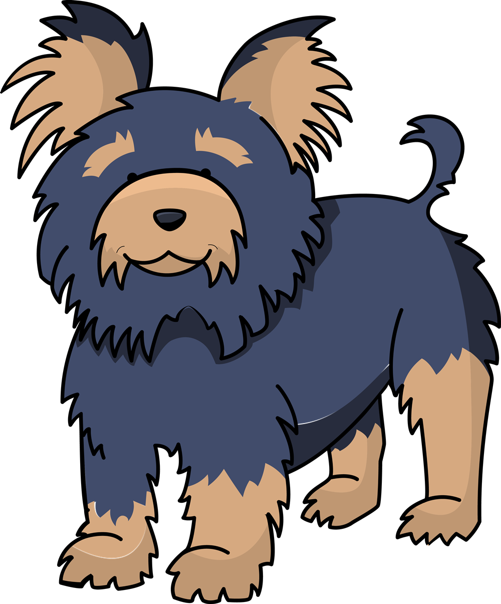 1000x1205 Yorkshire Terrier Dog Clipart, Explore Pictures