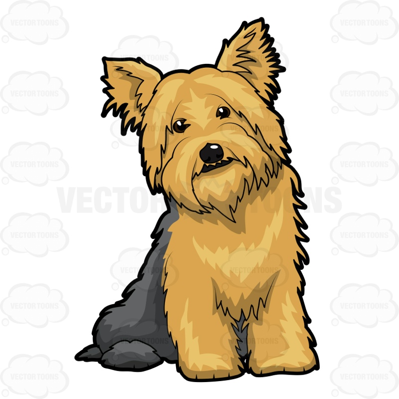 Yorkie Dog Clipart | Free download on ClipArtMag