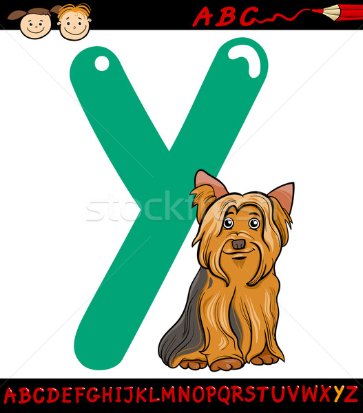 527x600 Yorkshire Terrier Stock Vectors, Illustrations And Cliparts