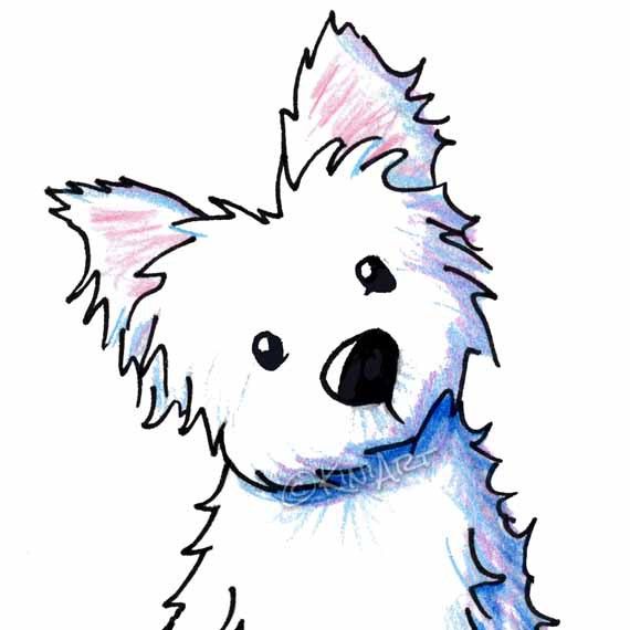 570x570 West Highland Terrier Clipart
