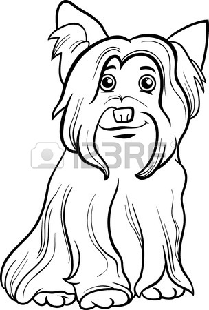 304x450 785 Yorkshire Terriers Stock Illustrations, Cliparts And Royalty