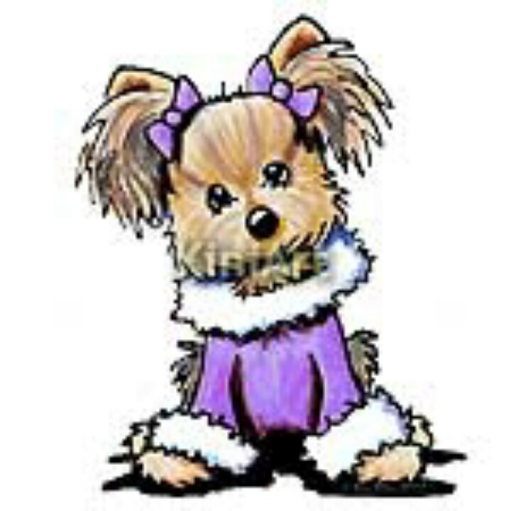 720x720 Yorkies Clipart Cute