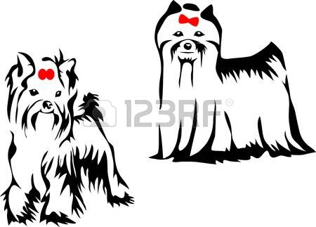 450x323 Yorkies Clipart Yorkshire Terrier