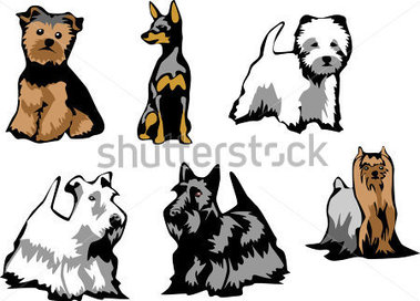 379x272 Yorkshire Terrier Cartoon Clipart