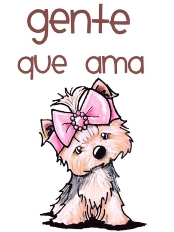 601x802 99 Best Yorkshire Terrier Hair Cut Images