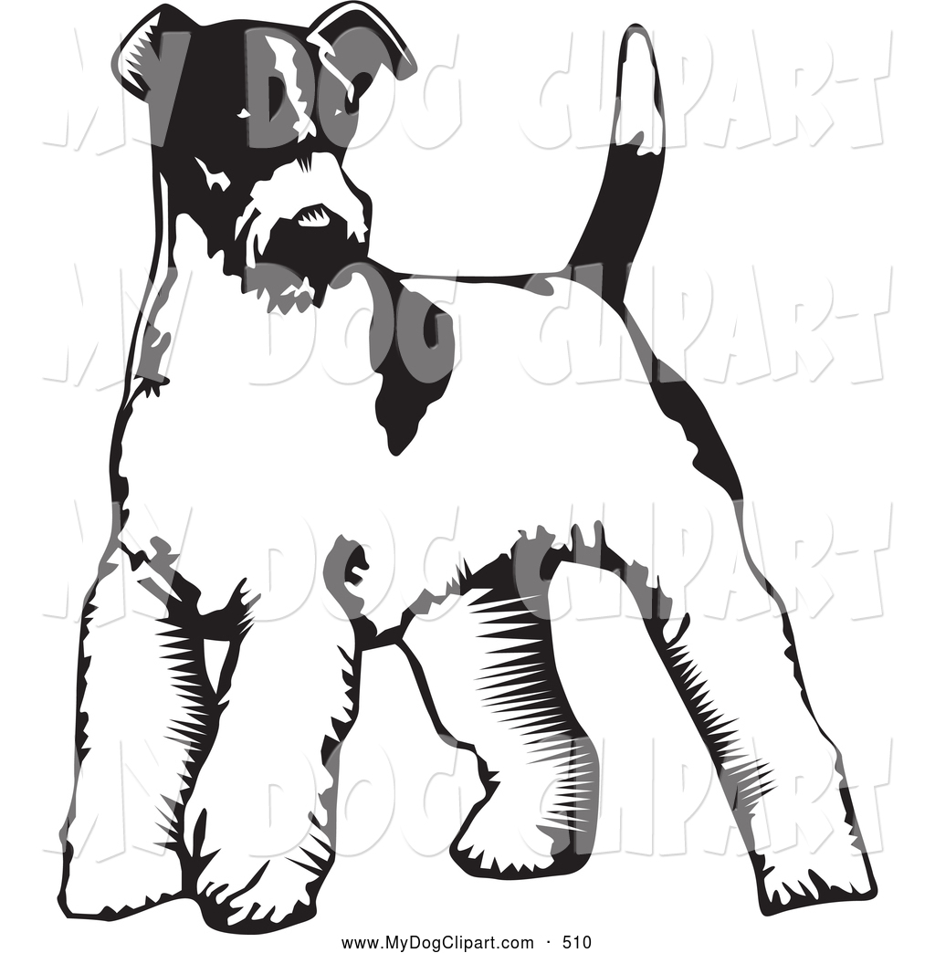 1024x1044 Clip Art Of A Cute Wire Fox Terrier Dog Standing On A White