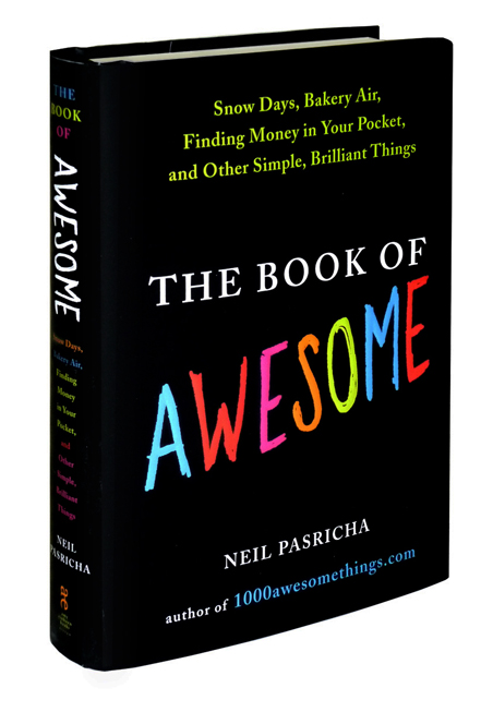 452x653 Book 1000 Awesome Things