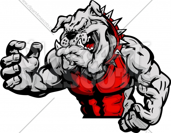 590x459 Wrestling Bulldog Mascot Graphic Vector Image