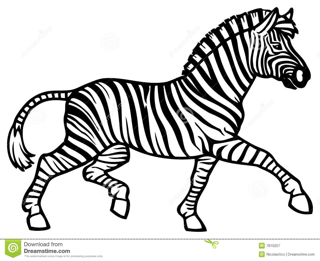 1300x1062 Zebra Clip Art Bw Cliparts