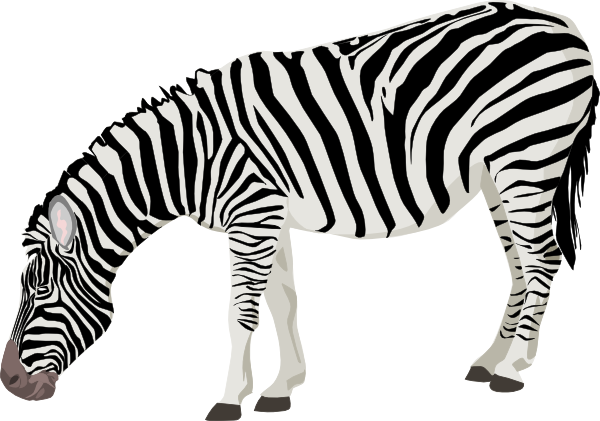 600x421 Zebra Clip Art