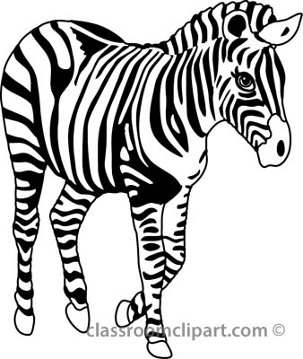 338x400 Zebra Clipart Black And White