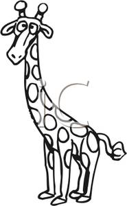 185x300 Giraffe Black And White Clipart