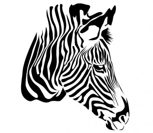 518x448 Zebra Clipart