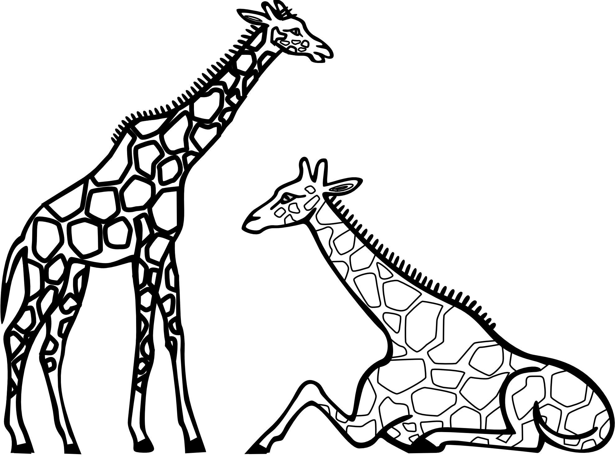 1979x1483 Zebra Clipart Two