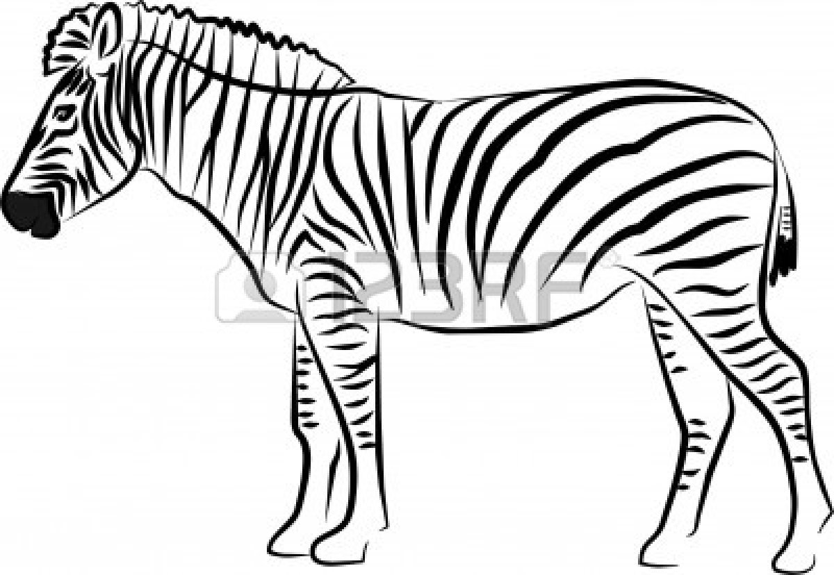 1200x828 Black Amp White Clipart Zebra