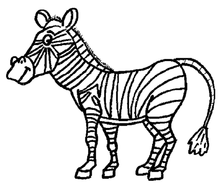 856x728 Best Zebra Coloring Page Ideas For Your Kids