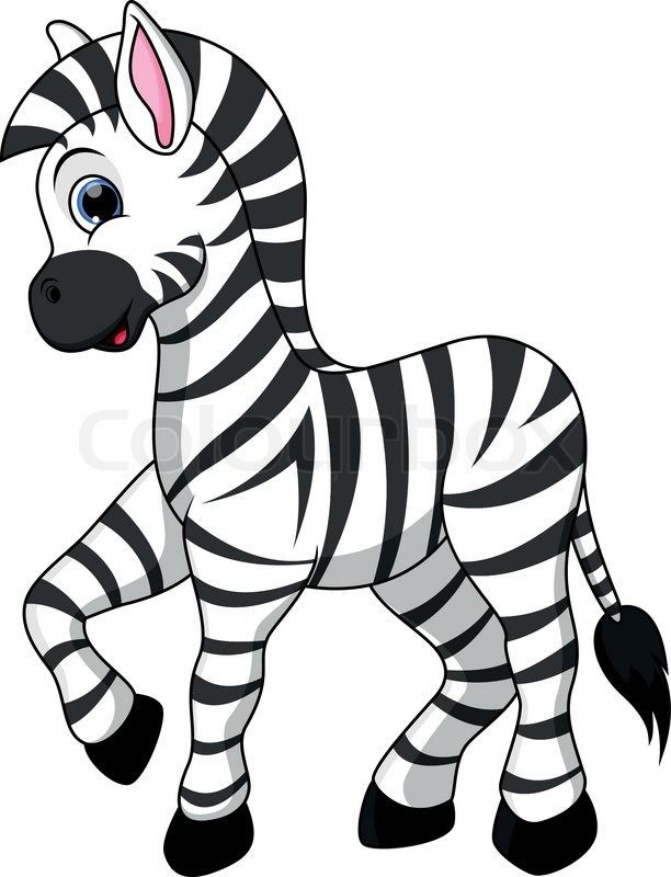 Zebra Head Clipart