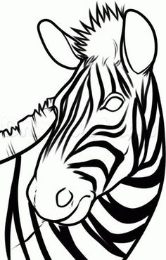 236x370 Draw A Zebra Art Lessons And Illustrators