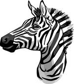 150x170 Zebra Head Clip Art