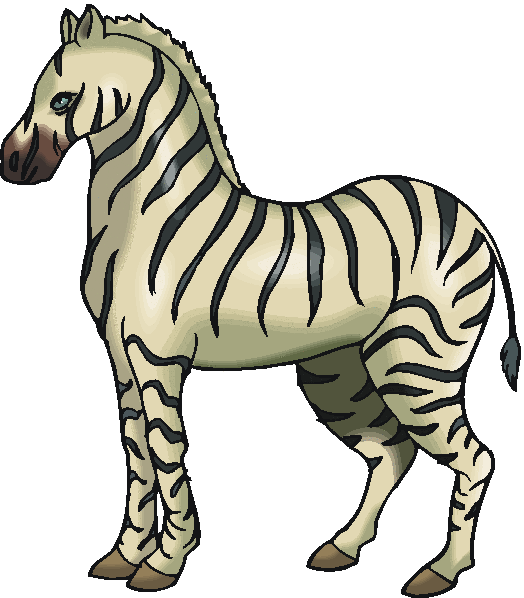 1051x1200 Zebra Clipart