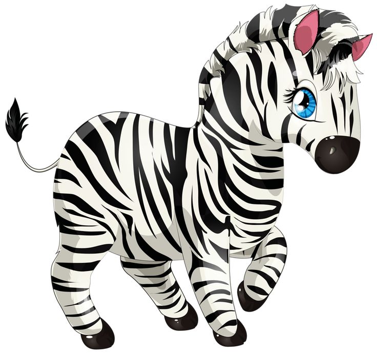 736x693 35 Best Zebras Images Draw, Drawings Of Animals