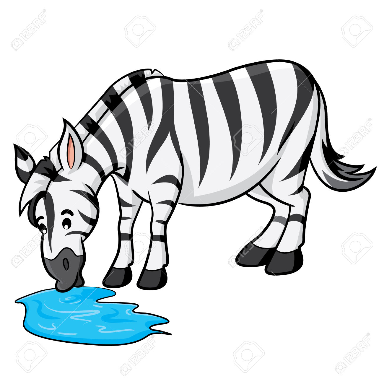 1300x1300 Zebra Clipart Drinking Water