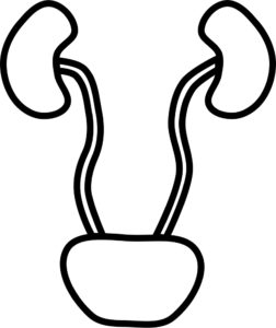 252x300 Surgery Zero To Finals