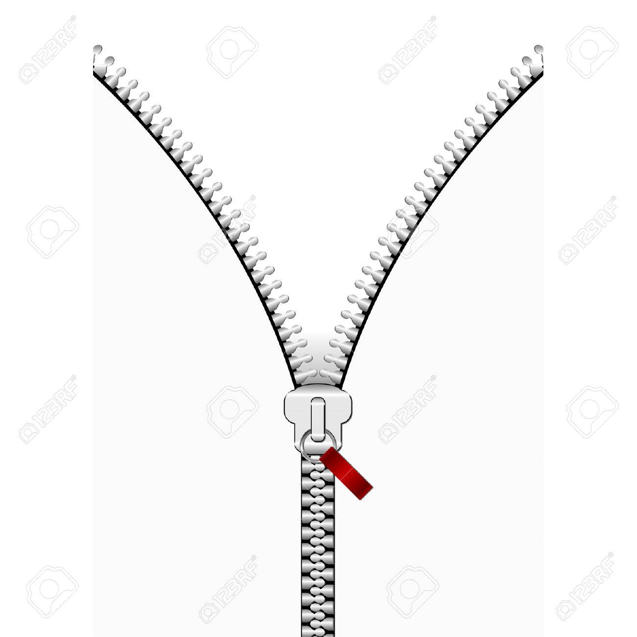 1300x1300 Silver Zipper In A Vertical Line Over White Background Royalty