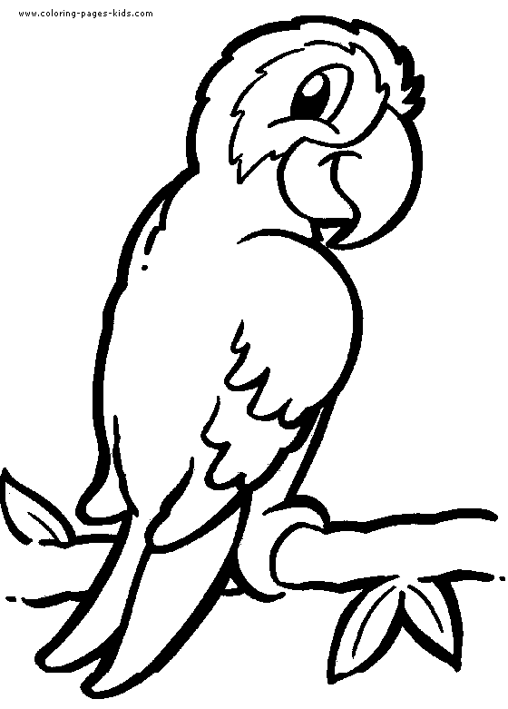 560x781 Detailed Animal Coloring Pages Parrot Coloring Pages, Color